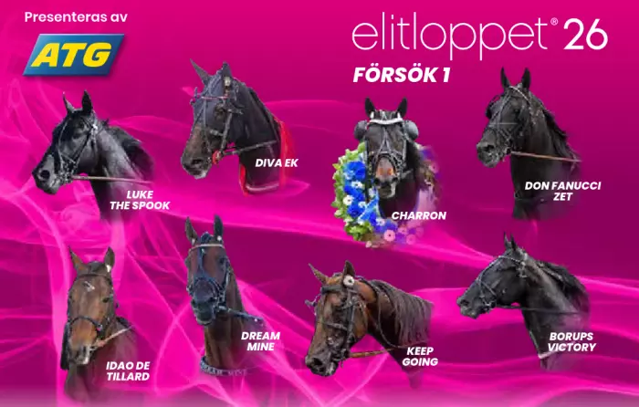 Portraits des Partants de la 1ère Batterie de l'ELITLOPPET 2026 à SOLVALLA en Suède Portraits des Partants de la 1ère Batterie de l'ELITLOPPET 2026 à SOLVALLA en Suède