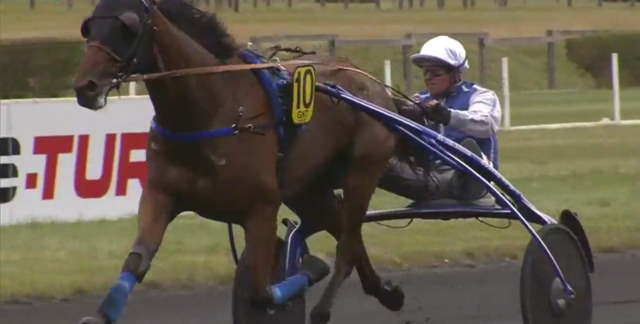 ELVIS MADRIK le gagnant du Grand National du Trot 2019