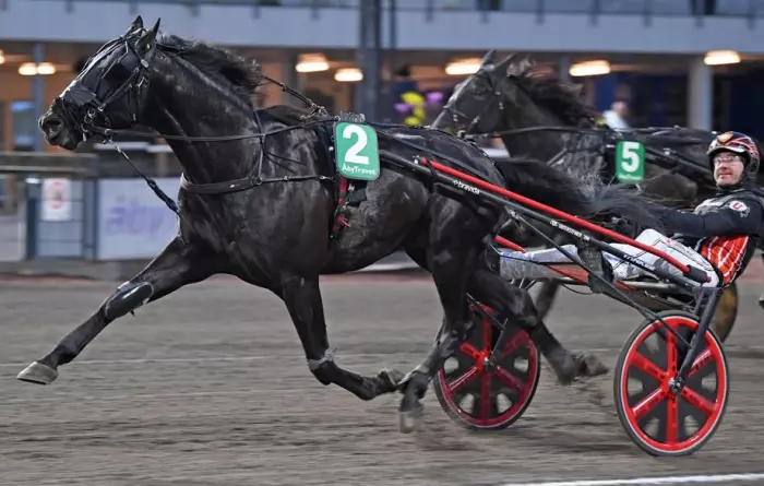 EMINENT KRONOS, le favori du quinté+ du jour à Vincennes - Prix Thémis (16/10/2026)