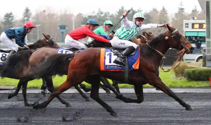 ESPERANZA IDOLE montée par Jean-Yann RICART gagnante du PRIX DE CORNULIER 2024 sur l'hippodrome de Paris Vincennes