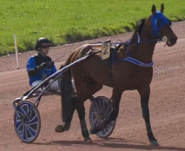 PRIX DE CAUVICOURT et la victoire d'ETONNANT pour sa rentrée drivé par Alexandre ABRIVARD sur l'hippodrome de Caen