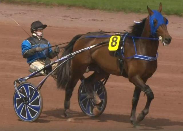 PRIX DE L'ATLANTIQUE 2023 et la victoire d'ÉTONNANT drivé par Anthony BARRIER sur l'hippodrome d'Enghien