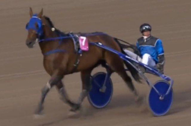 ETONNANT (Anthony BARRIER) vainqueur de l'ELITLOPPET 2022 à Solvalla en Suède
