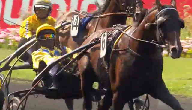 EUGENITO DU NOYER drivé par Eric RAFFIN gagnant du CRITÉRIUM DES 5 ANS 2019 à Vincennes
