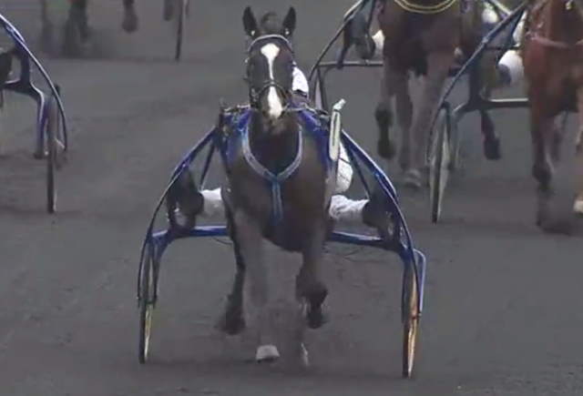 EXCELLENT (Alexandre ABRIVARD) PRIX DOYNEL DE SAINT-QUENTIN 2019