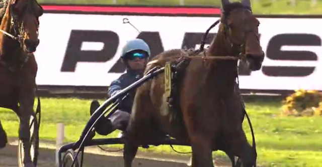 EXCELLENT drivé par Alexandre ABRIVARD vainqueur du Prix Ténor de Baune 2019 à Vincennes