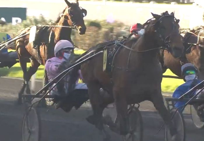 PRIX DU LUXEMBOURG 2026 et la victoire d'EXECUTIVE EK driv&eacute; par Alessandro Gocciadoro