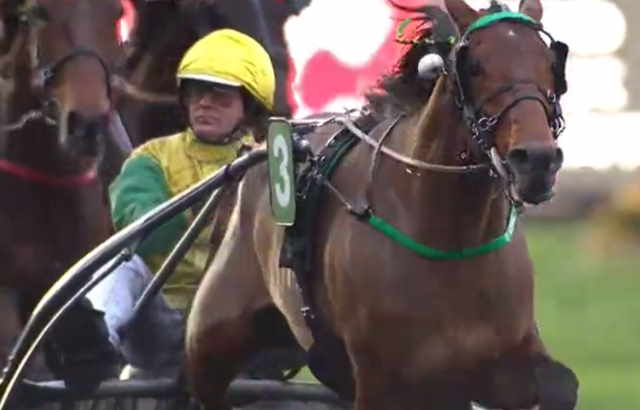 FACE TIME BOURBON drivé par Bjorn GOOP gagnant du Critérium Continental 2019 à Vincennes
