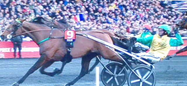 FACE TIME BOURBON drivé par Bjorn GOOP vainqueur du Grand Prix d'Amérique 2020 à Vincennes - Les 100 Ans