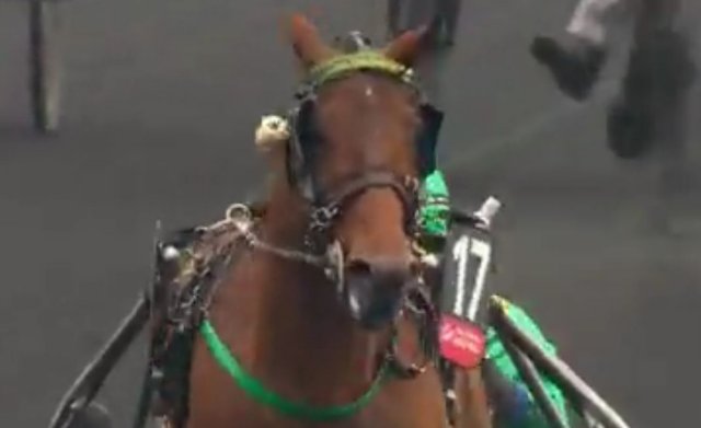 FACE TIME BOURBON drivé par Bjorn GOOP vainqueur du Prix d'Amérique 2021 à Vincennes
