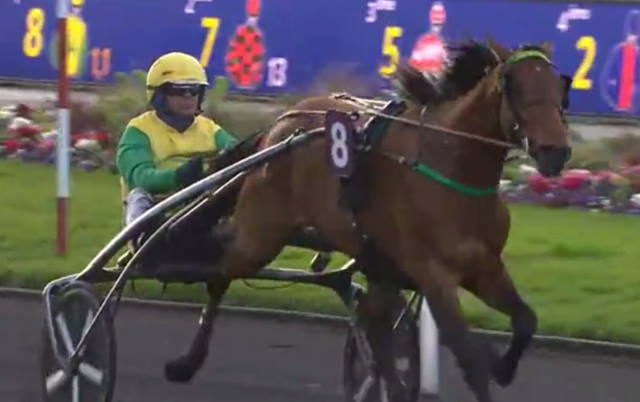 FACE TIME BOURBON drivé par Bjorn GOOP gagnant du Prix de Sélection 2020 à Vincennes