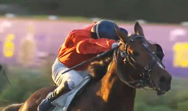 FADO DU Ch&Eacirc;NE vainqueur du Prix du Calvados 2021 à Vincennes se qualifie pour le Prix de Cornulier 2021 FADO DU Ch&Eacirc;NE vainqueur du Prix du Calvados 2021 à Vincennes se qualifie pour le Prix de Cornulier 2021