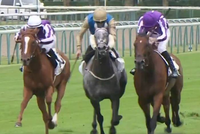 FALLEN ANGEL (Daniel TUDHOPE) gagnante du PRIX ROTHSCHILD 2025 sur l'hippodrome de Deauville