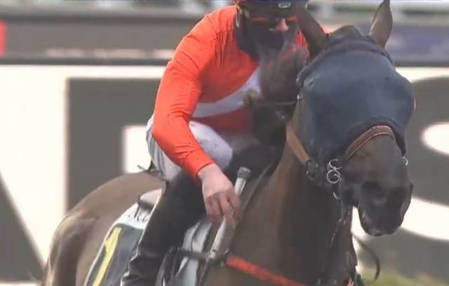 FANTAISIE (François LAGADEUC) vainqueur du Prix du Calvados 2022 à Vincennes se qualifie pour le Prix de Cornulier 2022 FANTAISIE (François LAGADEUC) vainqueur du Prix du Calvados 2022 à Vincennes se qualifie pour le Prix de Cornulier 2022
