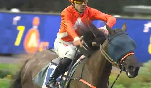 PRIX DU CALVADOS 2023 et la victoire de FANTAISIE monté par François LAGADEUC sur l'hippodrome de Paris Vincennes