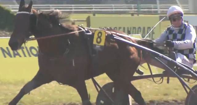 FARAH DES CAUX (8 - David THOMAIN) gagnant de la 1ère étape du Grand National du Trot 2022 à AMIENS