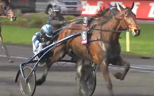 FÉERIE WOOD drivé par Alexandre ABRIVARD vainqueur du Prix Ténor de Baune 2020 à Vincennes