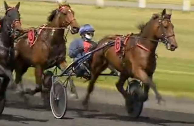 FLÈCHE DU YUCCA drivé par Jean-Philippe DUBOIS gagnant de la 5ème étape du Grand National du Trot 2020 au Croisé-Laroche