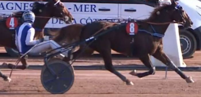 PRIX DE LA CÔTE-D-AZUR 2024 et la victoire de FLOREAL drivé par Robin BOUVIER sur l'hippodrome de Cagnes-Sur-Mer