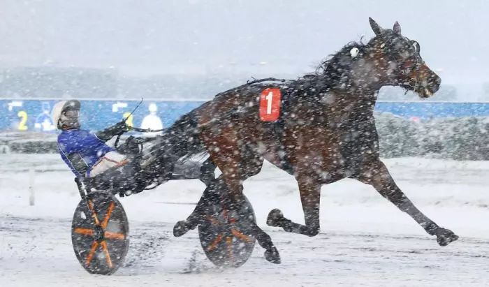 FLORIDA BI, le favori du quinté+ du jour à Enghien - Prix Eva (26/06/2026)