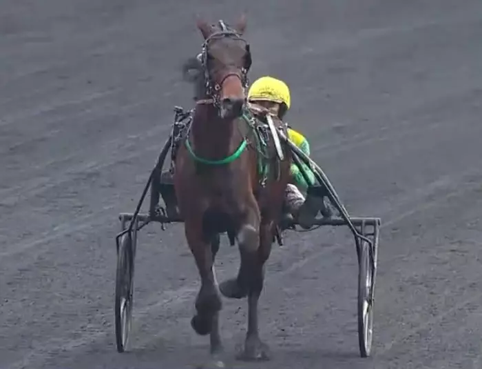 FranK Gio & Matthieu ABRIVARD, favori du Prix de Paris 2026