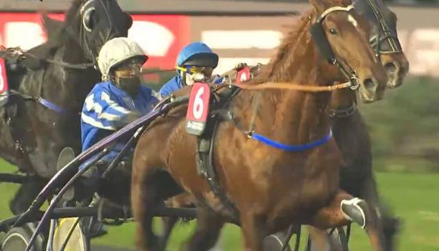 GALIUS drivé par Yoann LEBOURGEOIS vainqueur du Prix Ténor de Baune 2021 à Vincennes