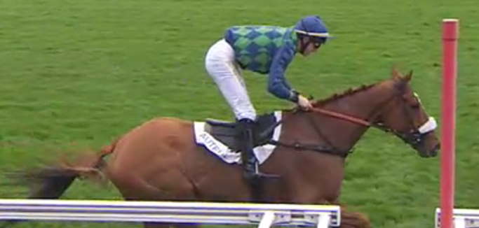 GALOP MARIN monté par Morgan REGAIRAZ vainqueur du Grand Prix d'Automne 2019 à Auteuil