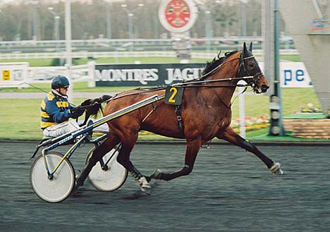 Galopin du Ravary