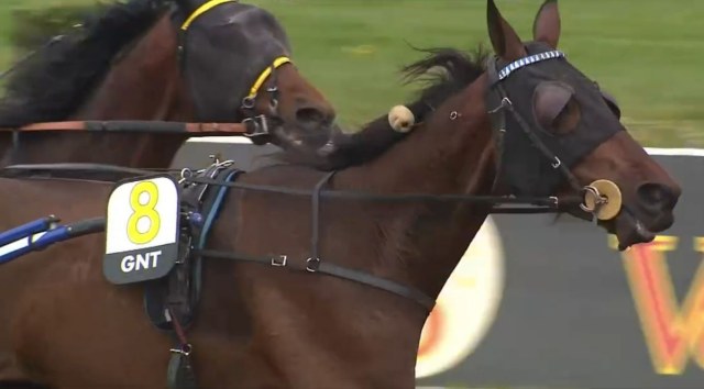 3ème étape du Grand National du Trot 2023 et la victoire de GASPAR D'ANGIS drivé par Eric RAFFIN sur l'hippodrome de Lyon Parilly