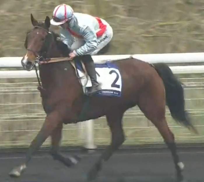 PRIX DE L'ÎLE-DE-FRANCE 2024 et la victoire de GAISHA SPEED monté par Anthony BARRIER sur l'hippodrome de Paris Vincennes