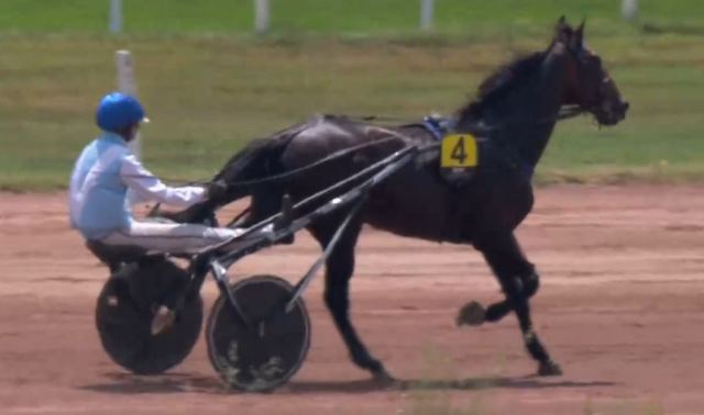 GENTLY DE MUZE (4 - Nicolas BAZIRE) gagnant de la 7ème étape du Grand National du Trot 2022 à Toulouse La Cépière