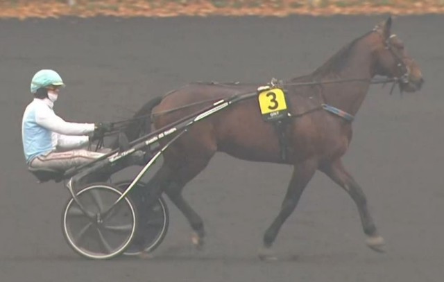 GENTLY DE MUZE (3 - Jean-Michel BAZIRE) gagnant de la Finale du Grand National du Trot 2022 à Vincennes