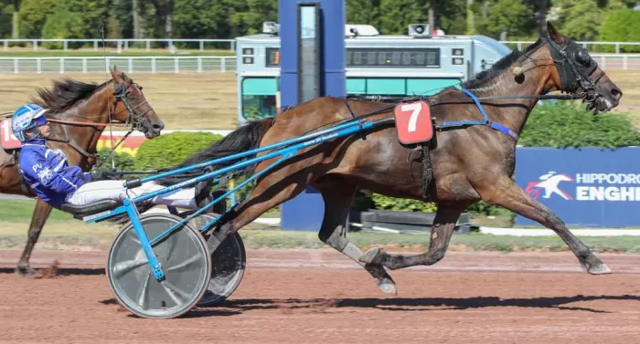 
GISARO, le favori du quinté+ du jour à Vincennes - Prix Austria (27/09/2026)