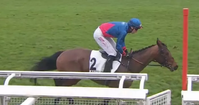 Glady Tiger, favori du quinté+ du jour à Auteuil (Prix Souviens-Toi - 01/03/2026) 