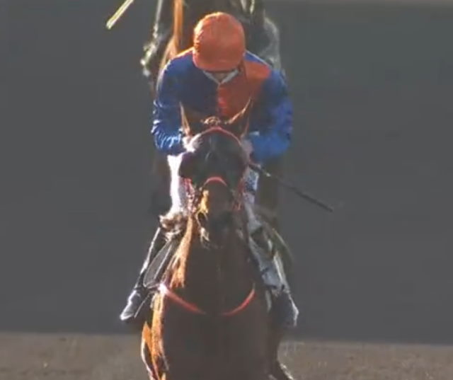 GLADYS DES PLAINES vainqueur du Prix Émile Riotteau 2021 à Vincennes se qualifie pour le Prix de Cornulier 2021