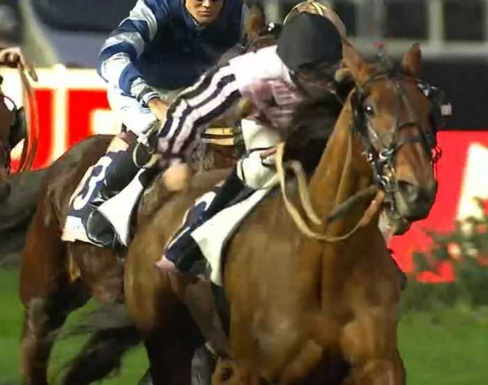 PRIX DU CALVADOS 2024 et la victoire de GOLD VOICE monté par Mathieu MOTTIER sur l'hippodrome de Paris Vincennes