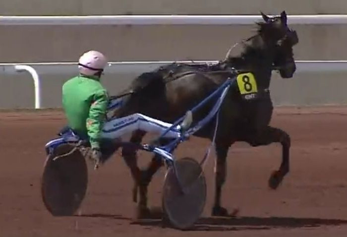3ème étape du Grand National du Trot 2024 et la victoire de GRAAL DU TRÉSOR drivé par Mathieu MOTTIER sur l'hippodrome de Lyon La Soie