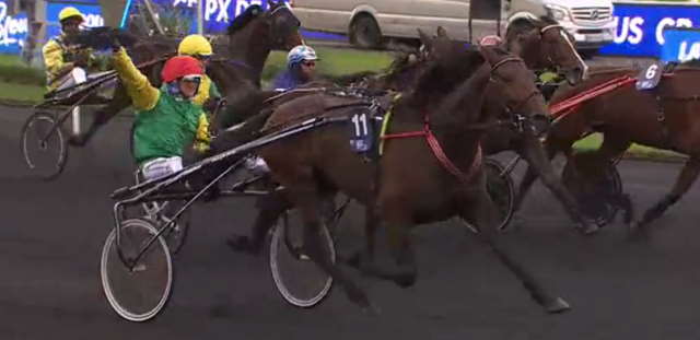 GRAND PRIX DE BRETAGNE 2019 et la victoire de DAVIDSON DU PONT drivé par Franck OUVRIE