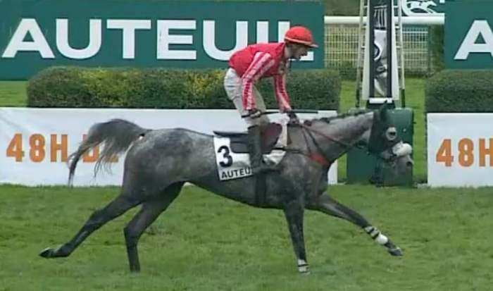 GRANDEUR NATURE (Gaetan MASURE) gagnant du PRIX LA HAYE JOUSSELIN 2023 sur l'hippodrome d'Auteuil
