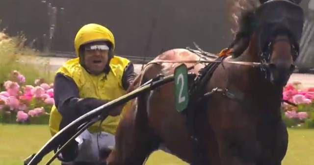 GUILLERMO SPORT drivé par Patrick-Joel PASCUAL LAVANCHY gagnant du PRIX ALBERT VIEL 2019 à Vincennes