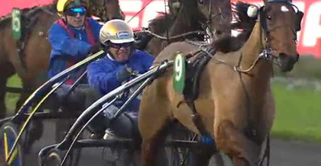 GUNILLA D'ATOUT (Bjorn GOOP) CRITÉRIUM DES 3 ANS 2019