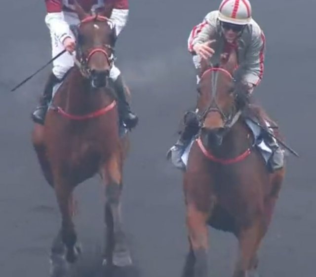 HANNA DES MOLLES monté par Alexandre ABRIVARD Vainqueur du Prix Bilibili 2022 sur l'hippodrome de Paris Vincennes