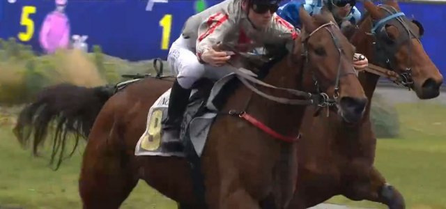PRIX DES CENTAURES 2023 et la victoire d'HANNA DES MOLLES monté par Alexandre ABRIVARD sur l'hippodrome de Paris Vincennes