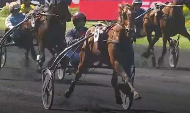 HAPPY VALLEY (5 - Jean-Philippe DUBOIS) gagnante du Prix Henri Levesque 2022 à PARIS VINCENNES