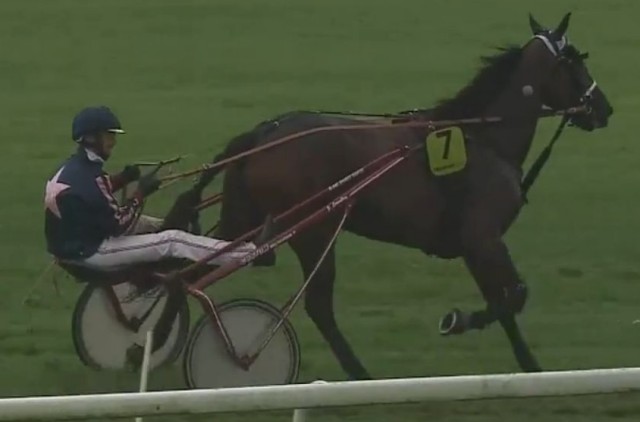 HARRY DE SASSY drivé par Jules LEROULLEY vainqueur de la Finale du Trophée Vert 2024 à Craon