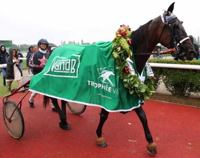 HARRY DE SASSY (Jules LEROULLEY) le gagnant du Trophée Vert 2024