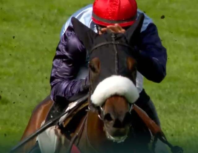 HAWAI DU BERLAIS (6 - Pierre DUBOURG) gagnant du PRIX ALAIN DU BREIL 2022 2022 à Auteuil
