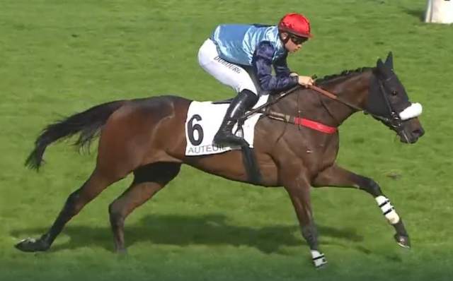 HAWAI DU BERLAIS (6 - Pierre DUBOURG) gagnant du PRIX ALAIN DU BREIL 2022 2022 à Auteuil