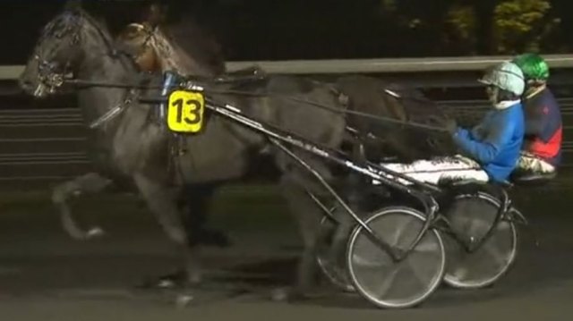 HERAUT D'ARMES (Jean-Michel BAZIRE) vainqueur du Championnat Européen des 5 Ans 2022 à Vincennes