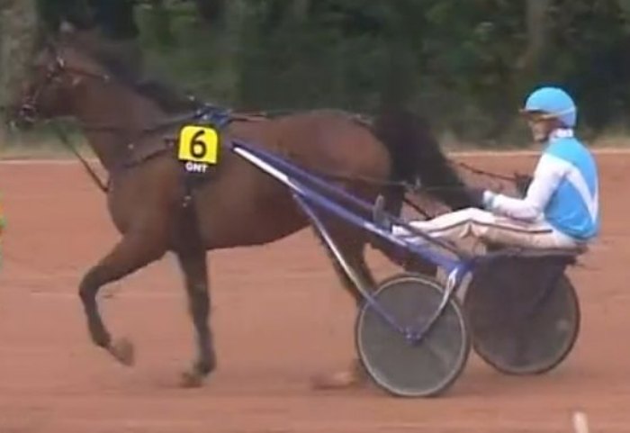 10ème étape du Grand National du Trot 2024 et la victoire d'HERO SIBEY drivé par Damien BONNE sur l'hippodrome de Cherbourg